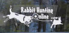 Rabbit Hunting Online Decal