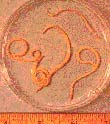 roundworms