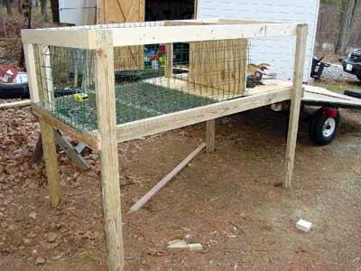 Building a Puppy Palace for Beagles.