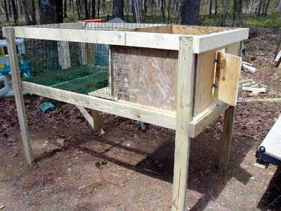 Building a Puppy Palace for Beagles.