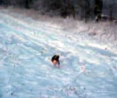Hunting the European Hare