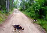 August Training Run