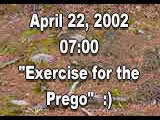 Pregnant Female Exercise Run
