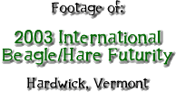 Video of the 2003 Int. Beagle/Hare Futurity at Hardwick, VT