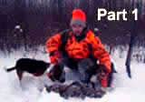NY Cottontail Run,  Part 1/2