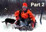 NY Cottontail Run, Part 2/2